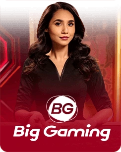 BIG GAMING