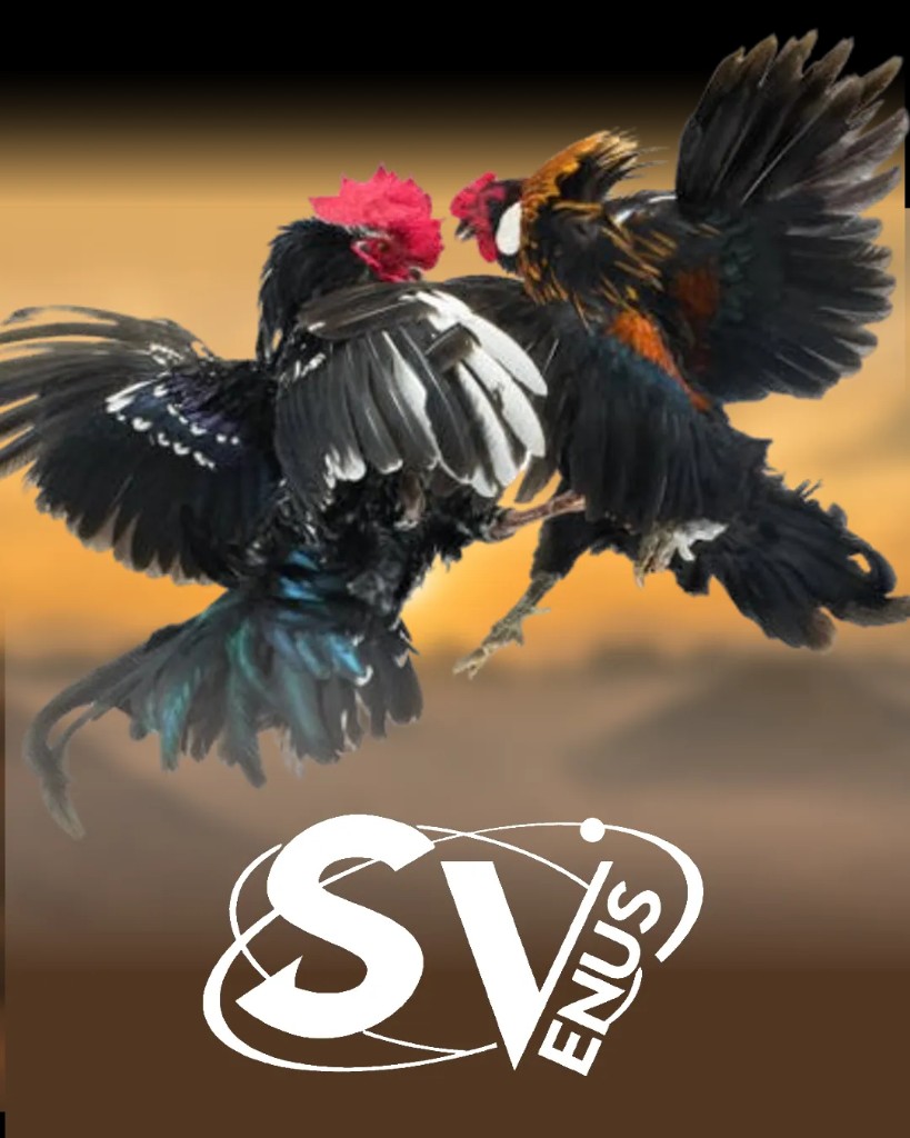 CQ9 COCKFIGHT